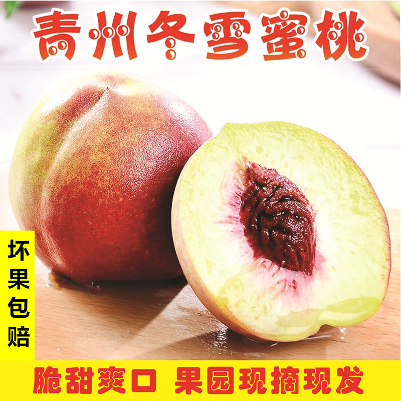 新鲜桃子 青州蜜桃 冬雪蜜桃冬桃 地标产品 脆甜多汁 1/3/5斤可选