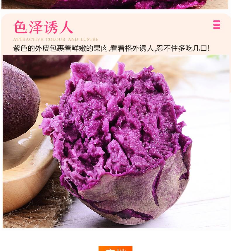(包粉包甜)现挖紫薯新鲜5斤包邮香薯农家自种烤地瓜山竽蜜薯番薯