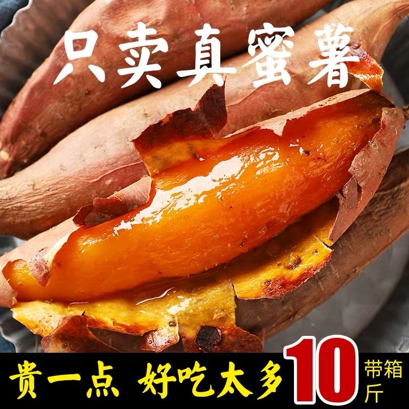 现挖正宗糖心烟薯25板栗红薯沙地蜜薯新鲜烤地瓜红薯甜薯番薯蔬菜
