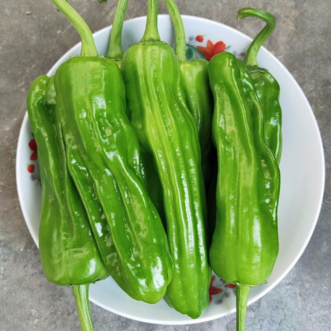 辣椒新鲜青辣椒芜湖椒薄皮青椒泡椒新鲜蔬菜虎皮青椒微辣辣椒现摘