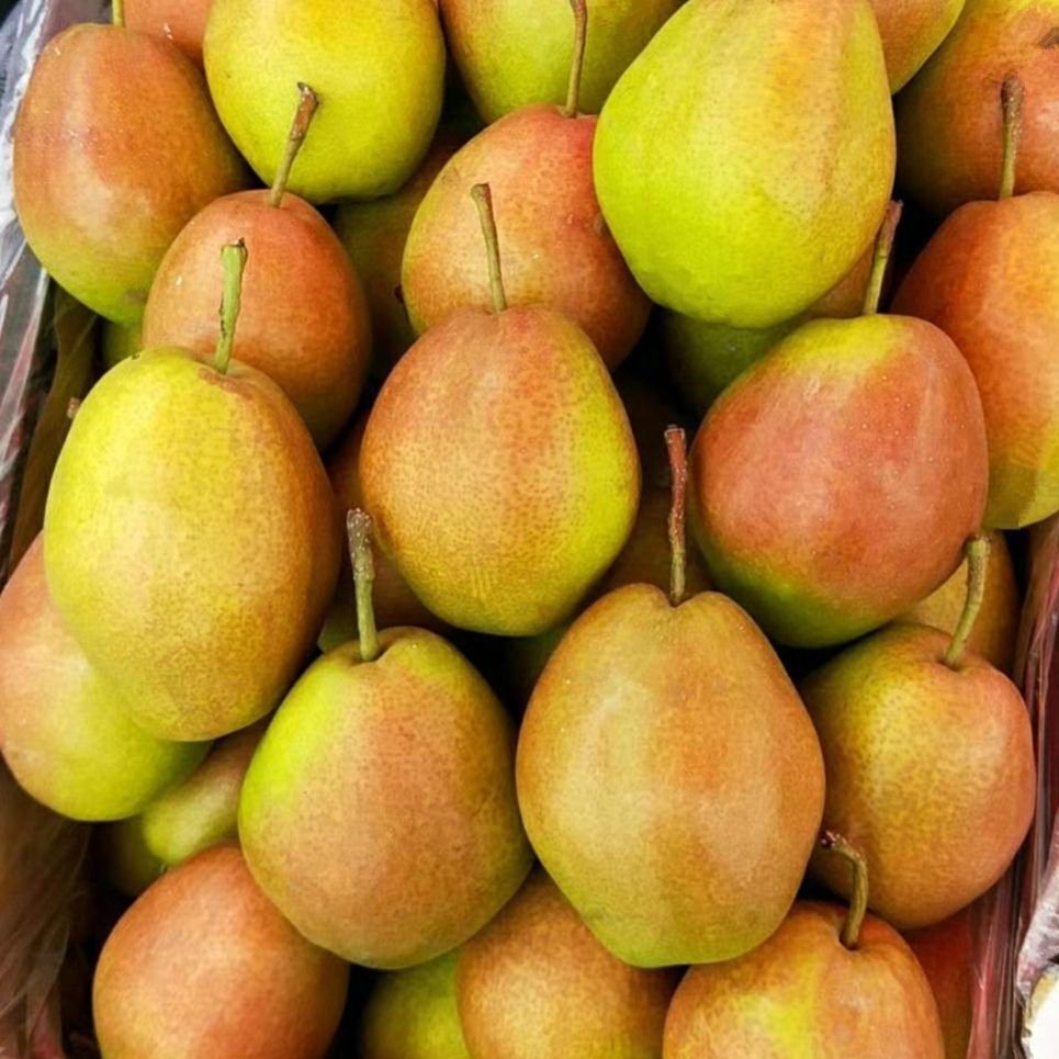 【新鲜采摘香梨】源自新疆库尔勒红香酥梨子多规格果园新鲜水果