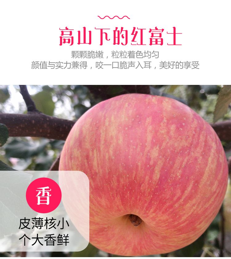 苹果新鲜水果10/5斤嘎啦苹果当季水果苹果批发红富士新苹果
