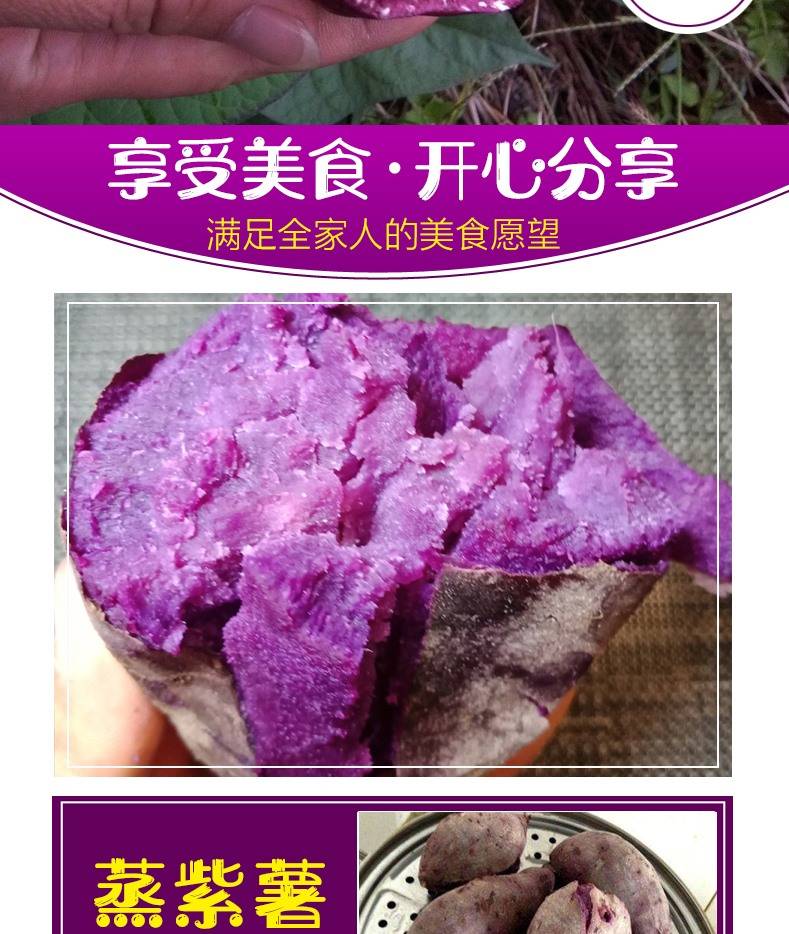 紫薯新鲜紫薯10斤山东紫薯紫地瓜红薯番薯3斤5斤10斤包邮