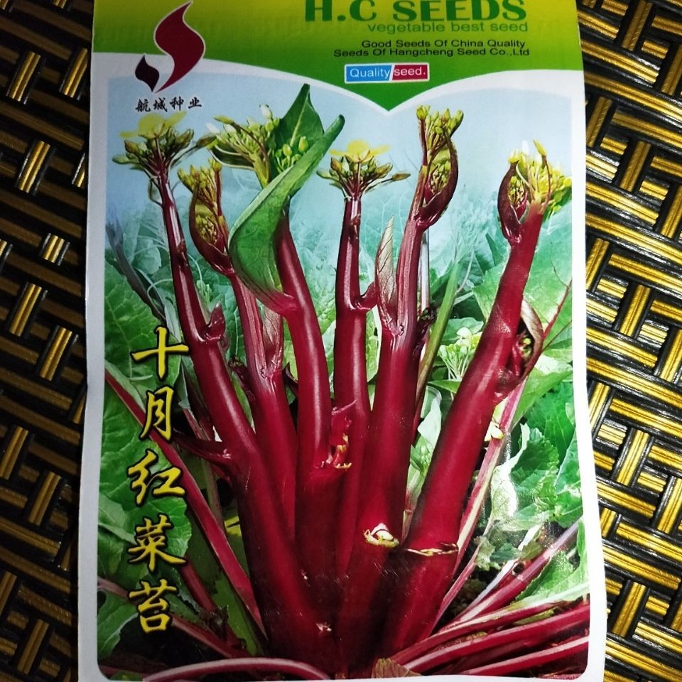多子多福甜菜心多芽菜心种子多次菜心苔十月秋冬四季播蔬菜种子