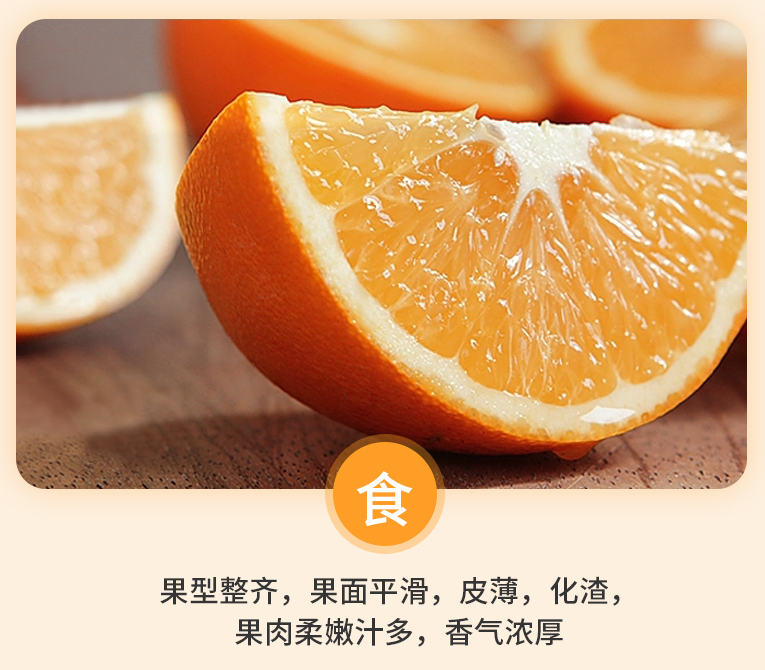 【限时特惠】夏橙当季新鲜夏橙橙子新鲜橙子秭归脐橙水果当季现摘橙子