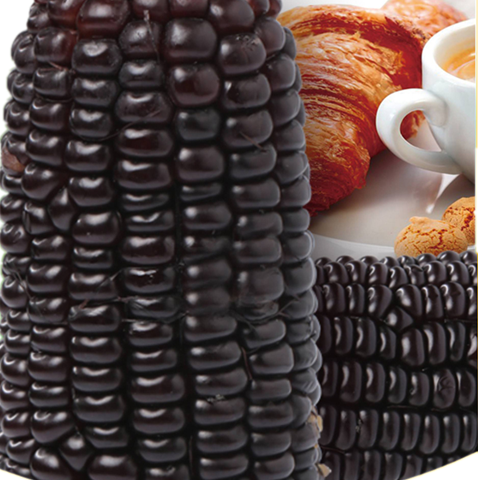 【低脂代餐 10根】 玉米黑玉米新鲜现采摘真空嫩甜粘糯营养黑糯玉米粗粮