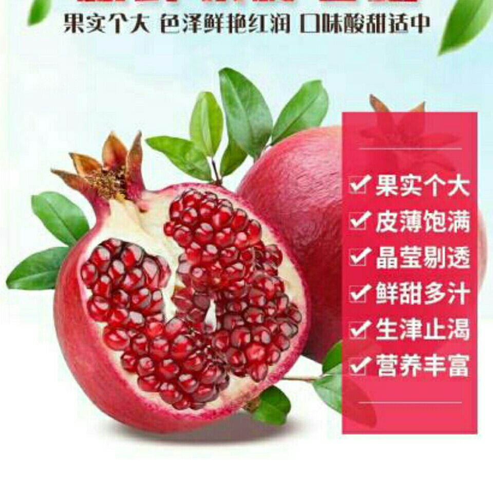 河阴突尼斯软籽石榴新鲜4斤现摘现发甜石榴红石榴【坏