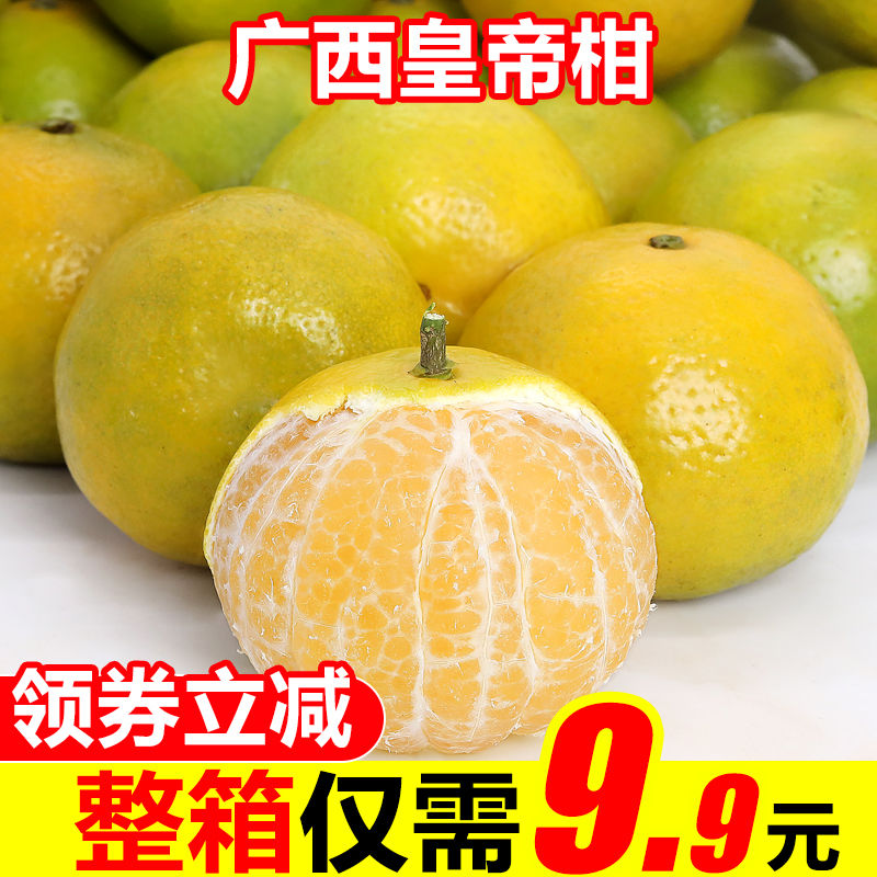 现摘薄皮桔子贡柑5/3/10斤(带箱)包邮【坏果包赔】皇帝柑又名"贡柑"