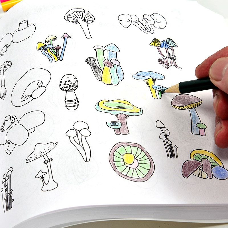 简笔画5000例大全 3-6-9-12岁儿童画画本绘画本小学生美术涂色画的