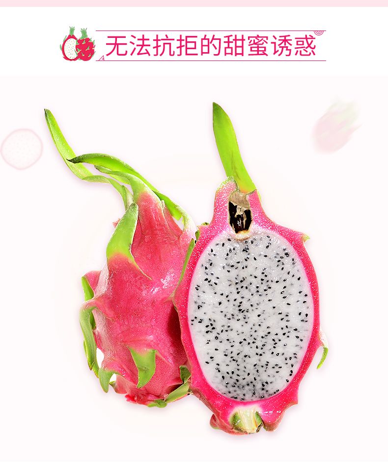 越南进口白心火龙果新鲜孕妇水果5/3斤非红肉新鲜包邮2个火龙果