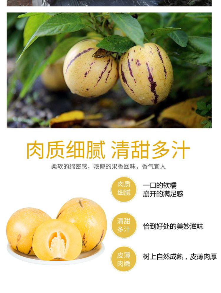 【现摘现发】云南石林3斤新鲜应季孕妇水果圆果人生果