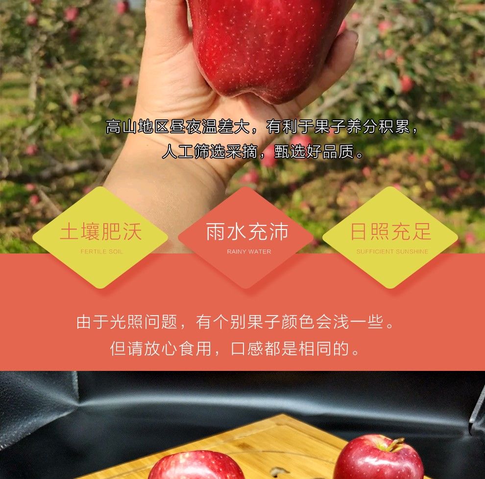 甘肃新鲜应季花牛苹果水果非红富士果蛇果孕妇水果整箱批发5斤