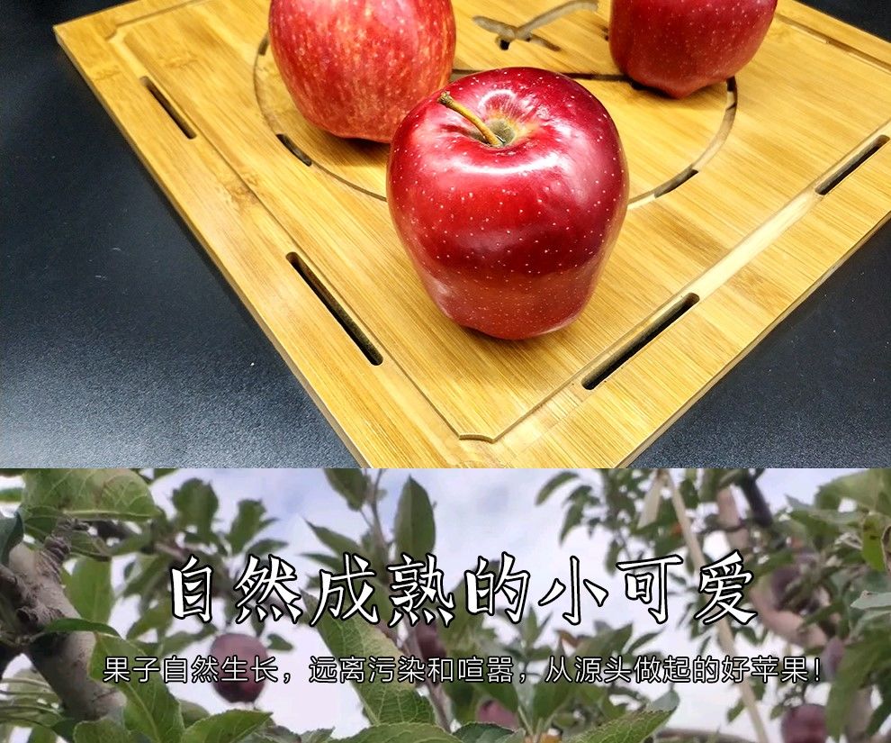 甘肃新鲜应季花牛苹果水果非红富士果蛇果孕妇水果整箱批发5斤