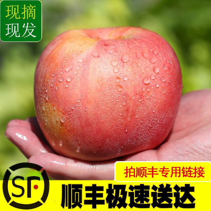 ˳᡿ĳƻˮɽ츻ʿӦ5/10