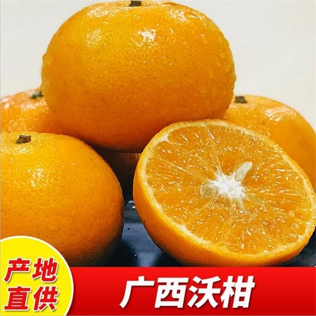 广西武鸣沃柑新鲜当季柑桔橘子超甜水果蜜橘子中大果3斤5斤9斤装