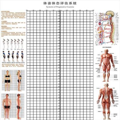 领券立减 0元   评估  体测  体位  体态  瑜伽  按 ctrl   d加入