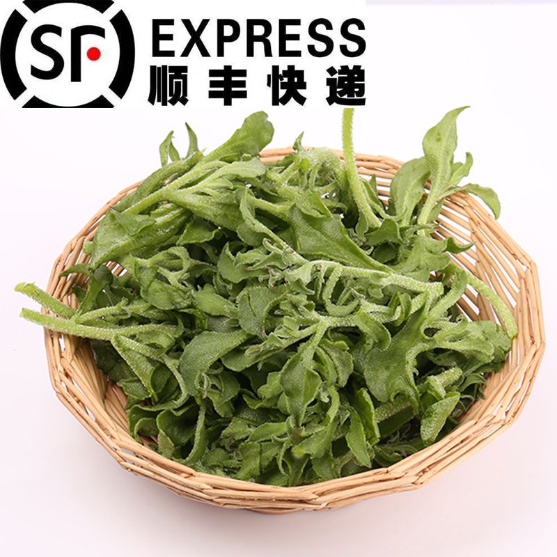 新鲜现摘非洲冰草菜新鲜蔬菜水晶冰菜蔬菜沙拉2斤即食生吃3斤包邮的
