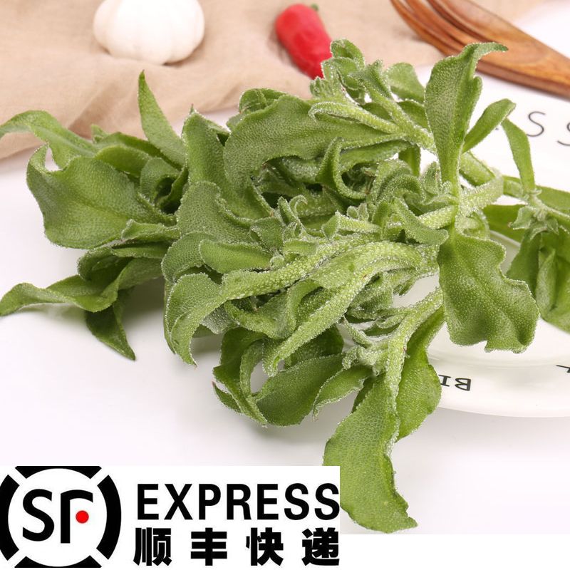 新鲜现摘非洲冰草菜新鲜蔬菜水晶冰菜蔬菜沙拉2斤即食生吃3斤包邮的