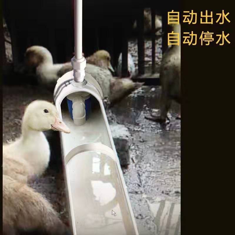 养殖水槽鸡鸭鹅家禽自动饮水器喂水器鸭子喝水饮水槽牛羊设备用品