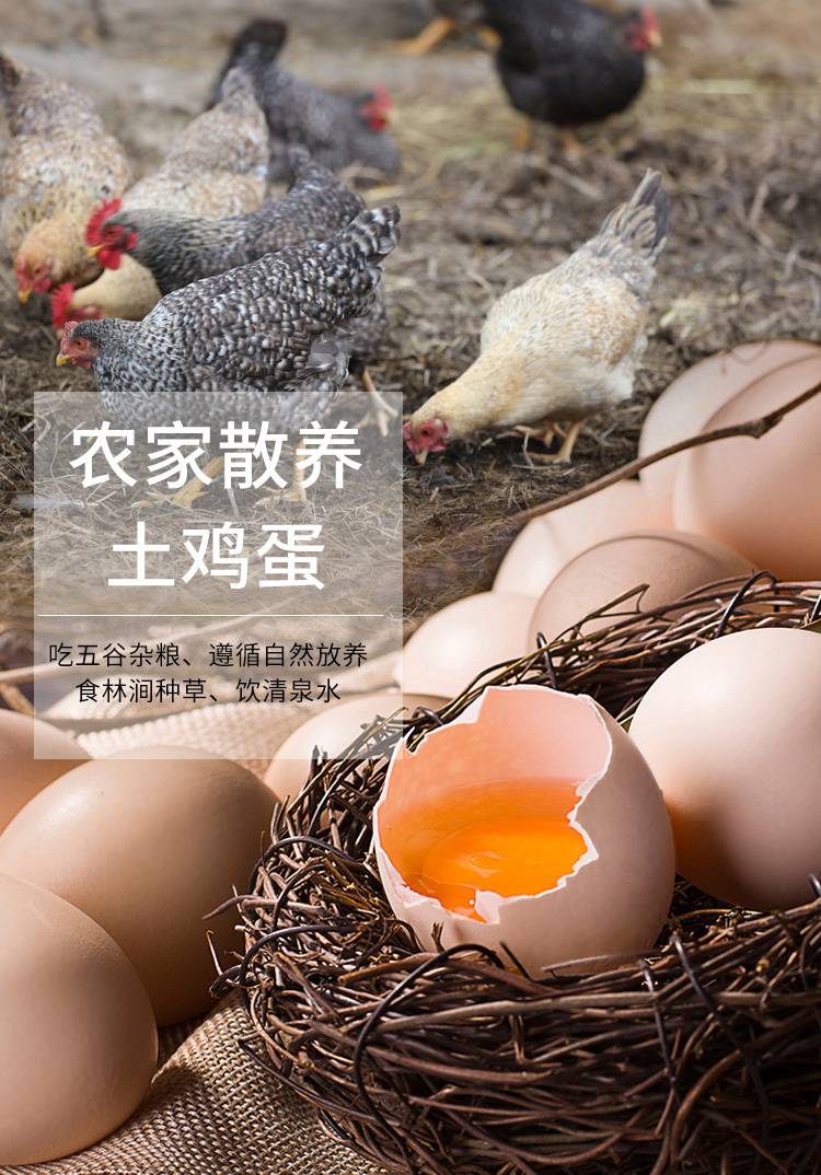 【限时活动】正宗鸡蛋土鸡蛋20/40/60枚新鲜柴鸡蛋农家散养当天现捡现发