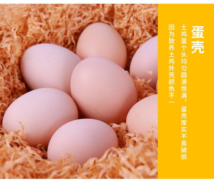 【限时活动】正宗鸡蛋土鸡蛋20/40/60枚新鲜柴鸡蛋农家散养当天现捡现发