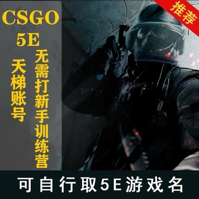 csgo5e账户号 国际服 5e对战平台天梯排位账户号 无需新手营steam