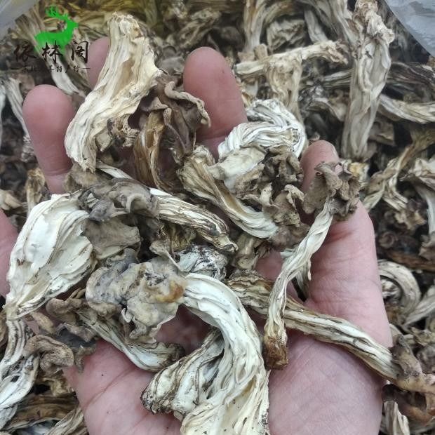 野生腐竹蘑菇半斤东北特产蘑菇干货长白山鸡腿蘑小羊肚蘑250g100g