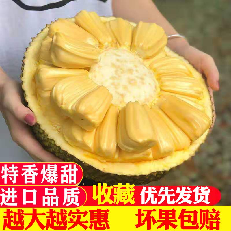 泰国菠萝蜜黄肉新鲜水果干苞红心榴莲香味甜当季热带海南特价批发【11