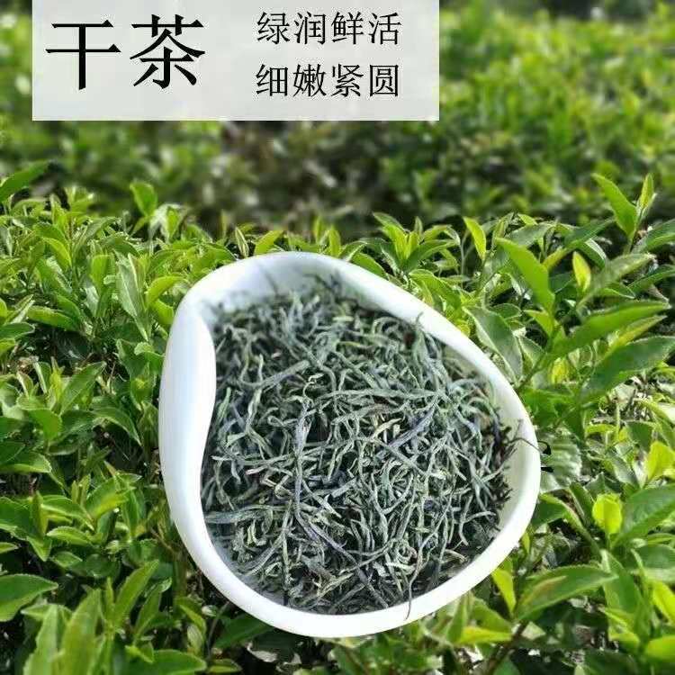 2020新茶茶叶湖北五峰茶高山云雾毛尖绿茶雨后炒青茶