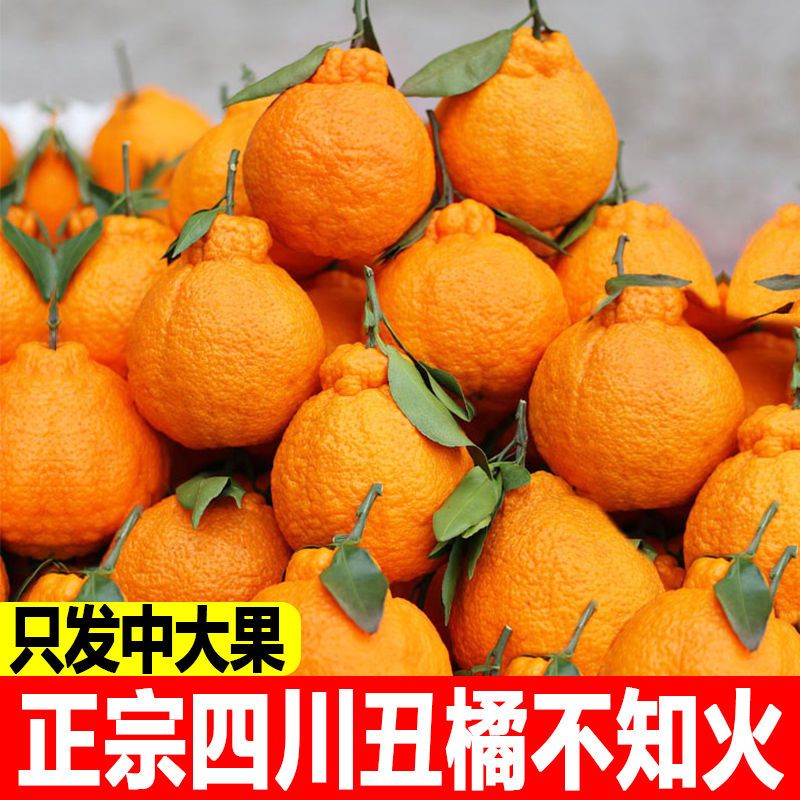 四川丑橘不知火丑八怪橘子当季新鲜丑桔子水果2510斤批发整箱