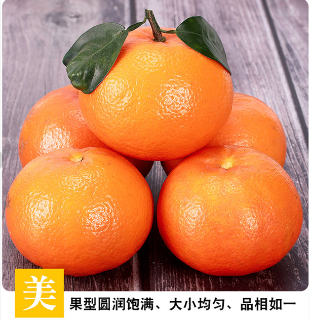 正宗【5斤装/10斤装】广西武鸣沃柑橘子新鲜水果桔子沃甘现摘橘子
