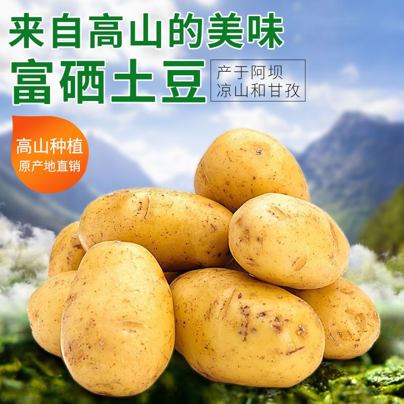 【正常发货】高山富硒黄心土豆马铃薯蔬菜类洋芋9斤新鲜蔬菜批发