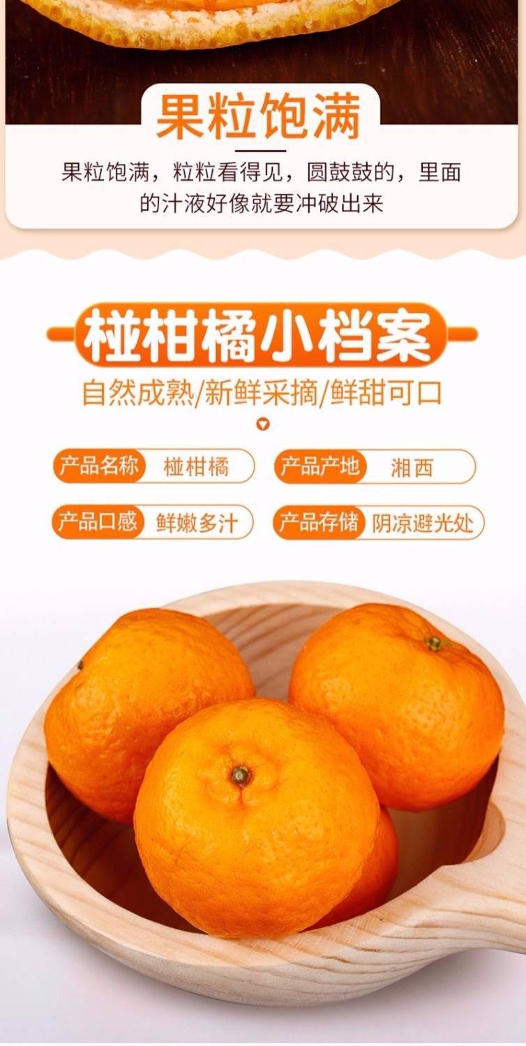 【买5送5斤48小时发货】湖南湘西椪柑橘橙新鲜水果橘子非丑橘