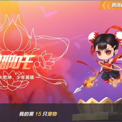 qq飞车手游a永久哪吒白泽自然之灵等宠物低价包中下架的不包