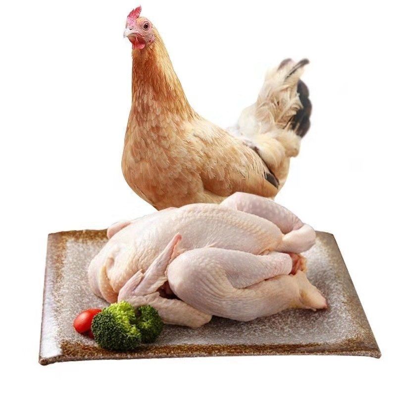 【亏本冲量】农家三黄鸡新鲜土鸡童子鸡草鸡活鸡现杀生鲜鸡肉整鸡