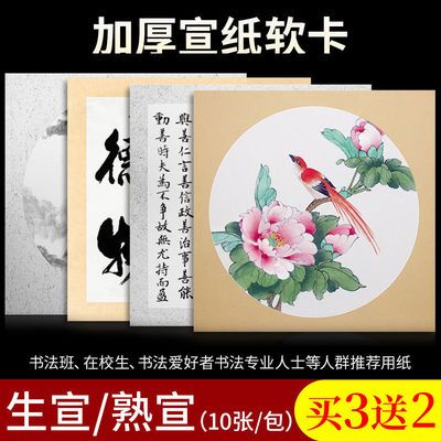 【买3送2】加厚宣纸卡纸国画作品纸书法专用纸生宣装裱扇面镜片纸