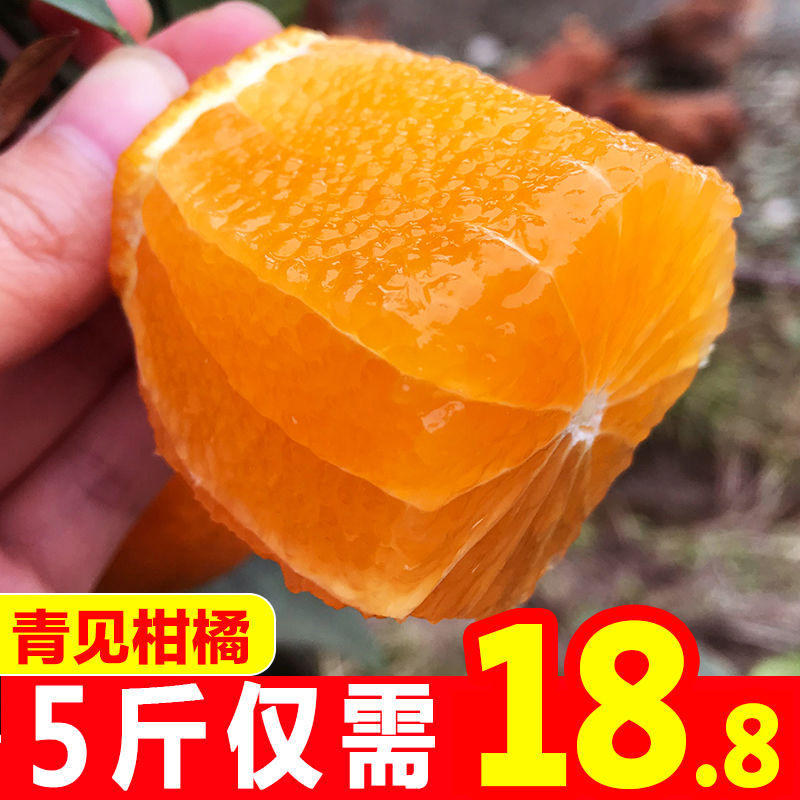 正宗四川青见柑橘果冻橙10斤应季新鲜水果手剥桔子甜橘子非 丑橘
