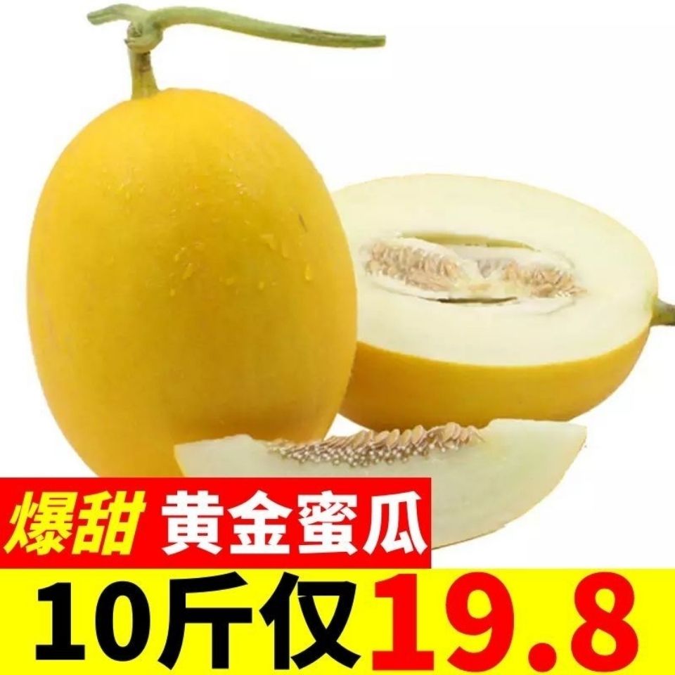 甜瓜水果香瓜东方蜜瓜黄金蜜10斤金红宝黄香瓜梨瓜黄河蜜脆甜梨瓜