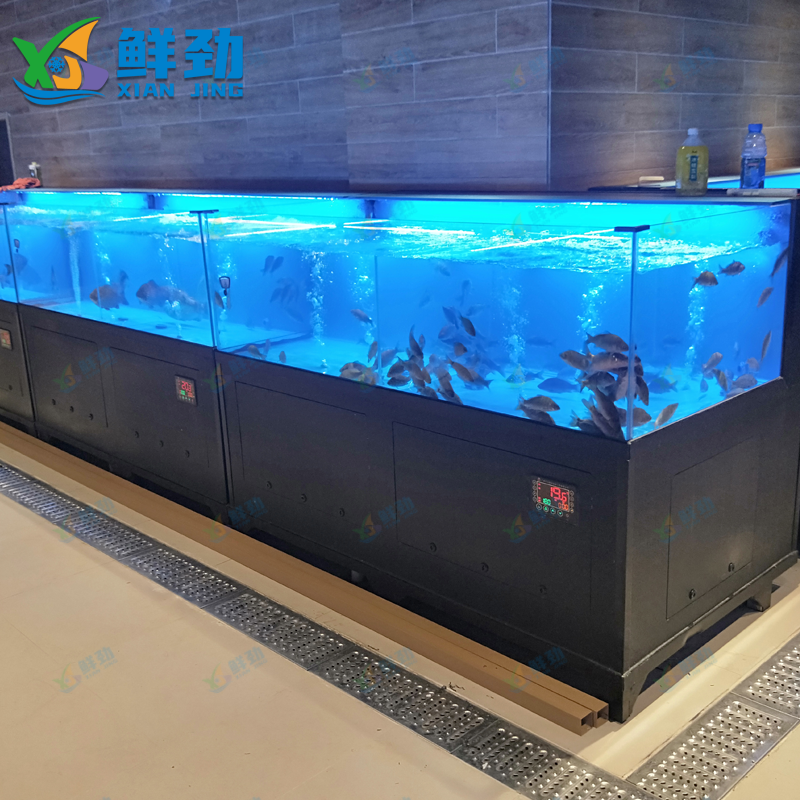 定制移动海鲜缸贝类池酒店超市水产玻璃鱼缸海水单层缸制冷商用