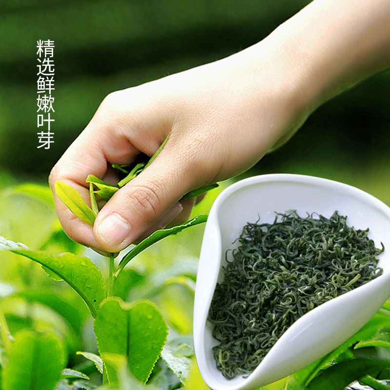 茶叶毛尖散装一级2020年散装新茶特级嫩茶茶叶毛峰四川茶的细节图片1