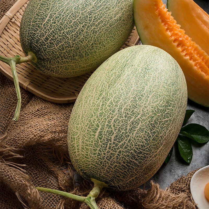 新疆哈密瓜新鲜一箱水果网纹瓜香甜蜜瓜应季西州蜜零食水果哈密瓜