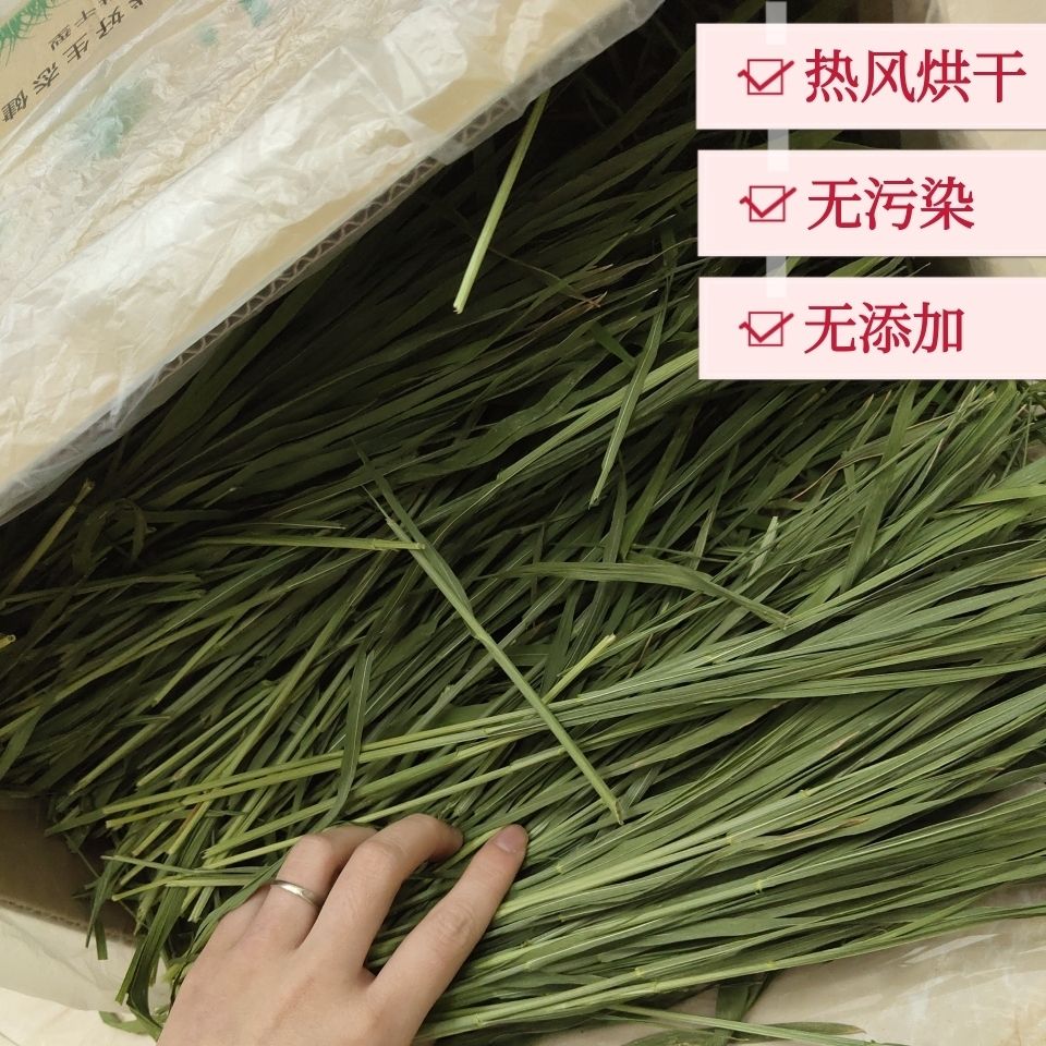兔子干草烘干小麦草牧草兔子草荷兰猪草龙猫牧草豚鼠草营养牧草