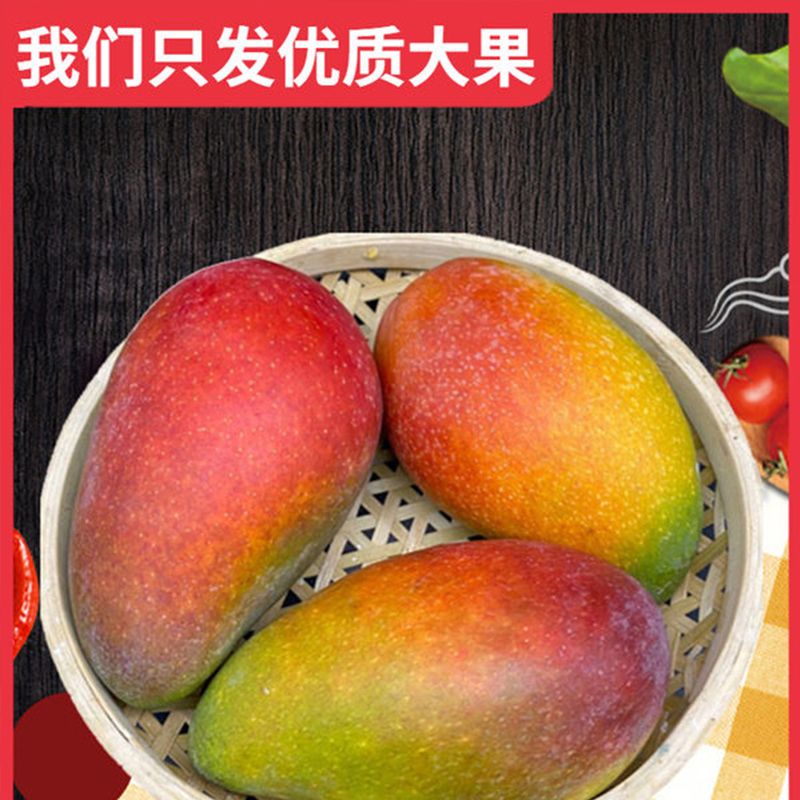 现摘攀枝花凯特红贵妃芒果整箱包邮新鲜水果果园现摘现发抢完为止