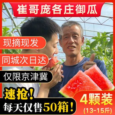 【北京西瓜热销榜】大兴庞各庄西瓜新鲜水果吊瓜现摘现发无籽麒麟