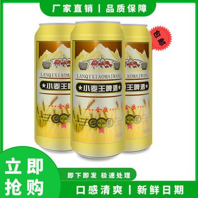 小麦王500ml啤酒整箱批发9听特价大桶小麦芽啤酒纯啤精酿厂家直销