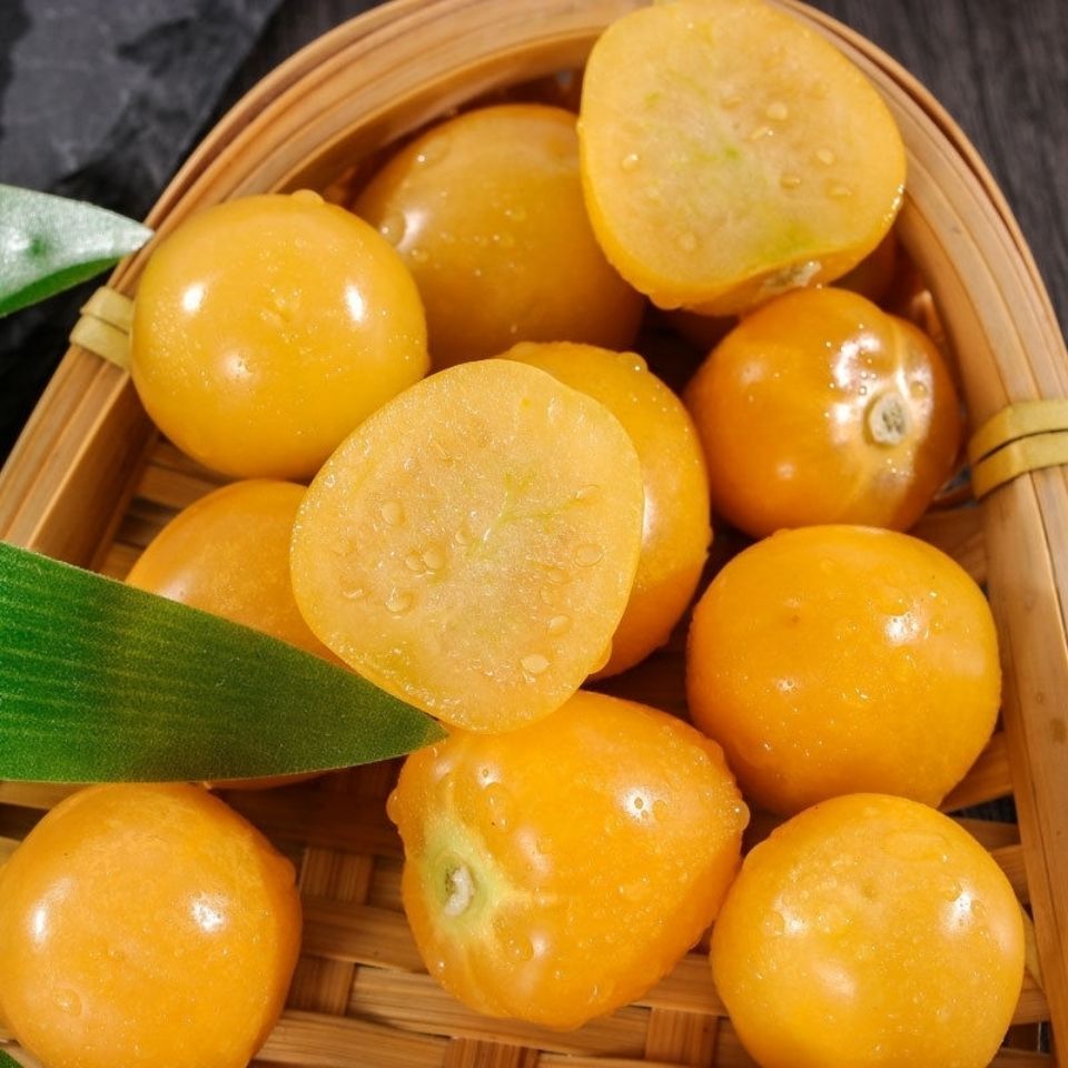 【东北新货】姑娘果新鲜水果灯笼果菇娘果现摘现发稀罕彩虹果包邮