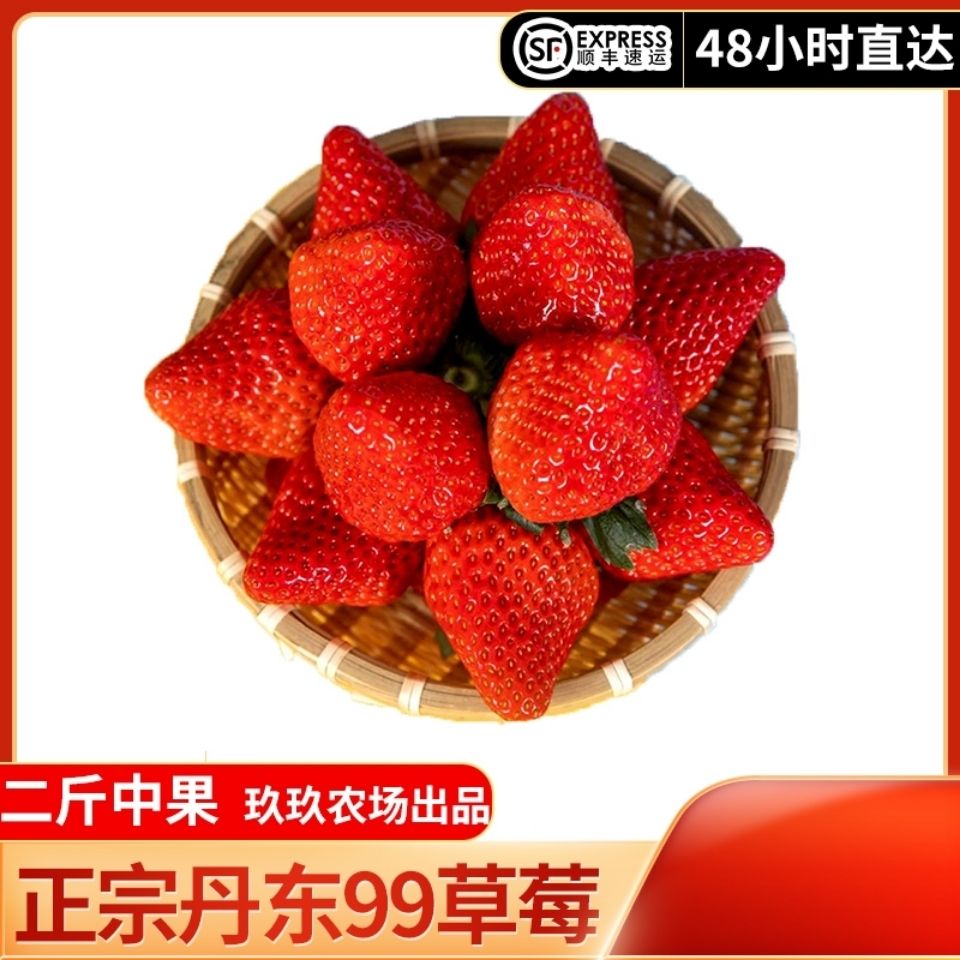 【顺丰】正宗丹东99草莓2斤新鲜现摘现发东港九九红颜