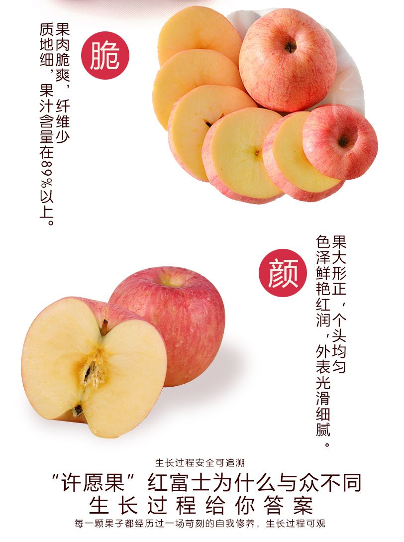 【3斤净重24.9】山东烟台红富士苹果3斤果园直发新鲜水果脆甜多汁(3斤6-8个)