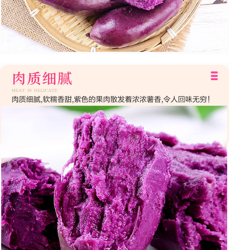 (包粉包甜)现挖紫薯新鲜5斤包邮香薯农家自种烤地瓜山竽蜜薯番薯