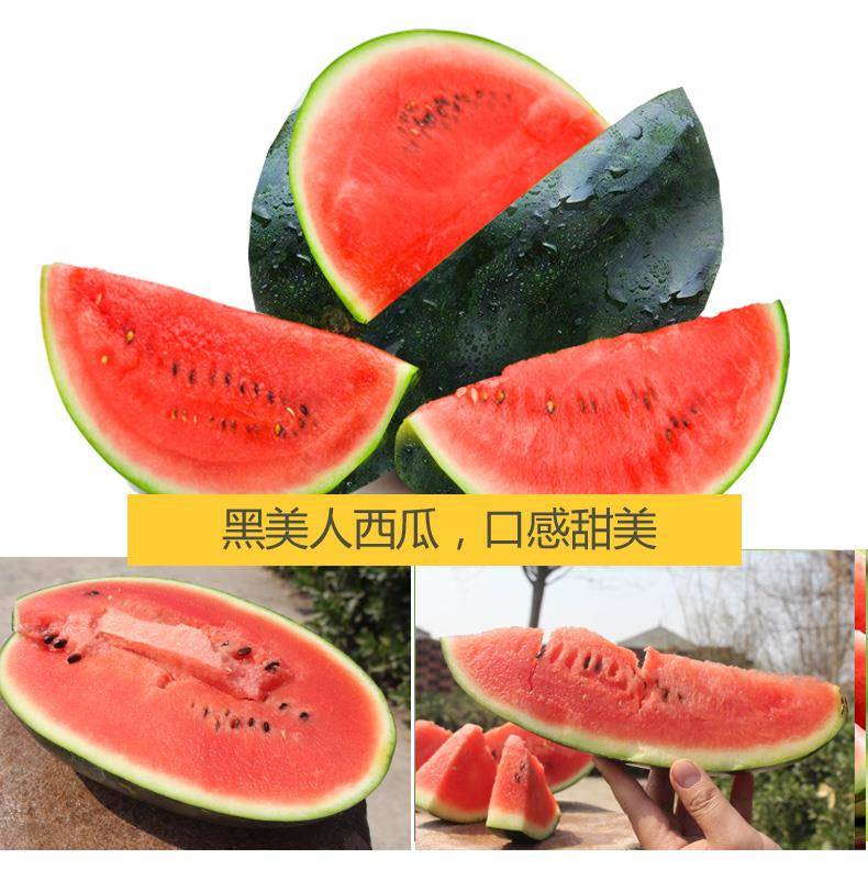 【4.5-6斤】越南进口应季水果新鲜越南西贡黑美人西瓜单果